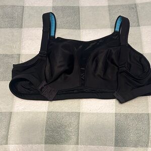 Champion Black Sports Bra with Blue Accents